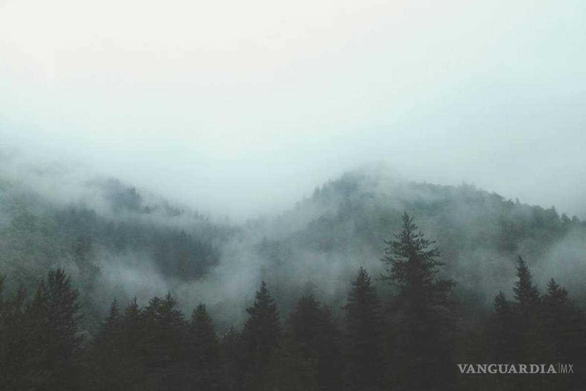 ¿Por qué el clima nublado nos hace sentir tan aletargados?