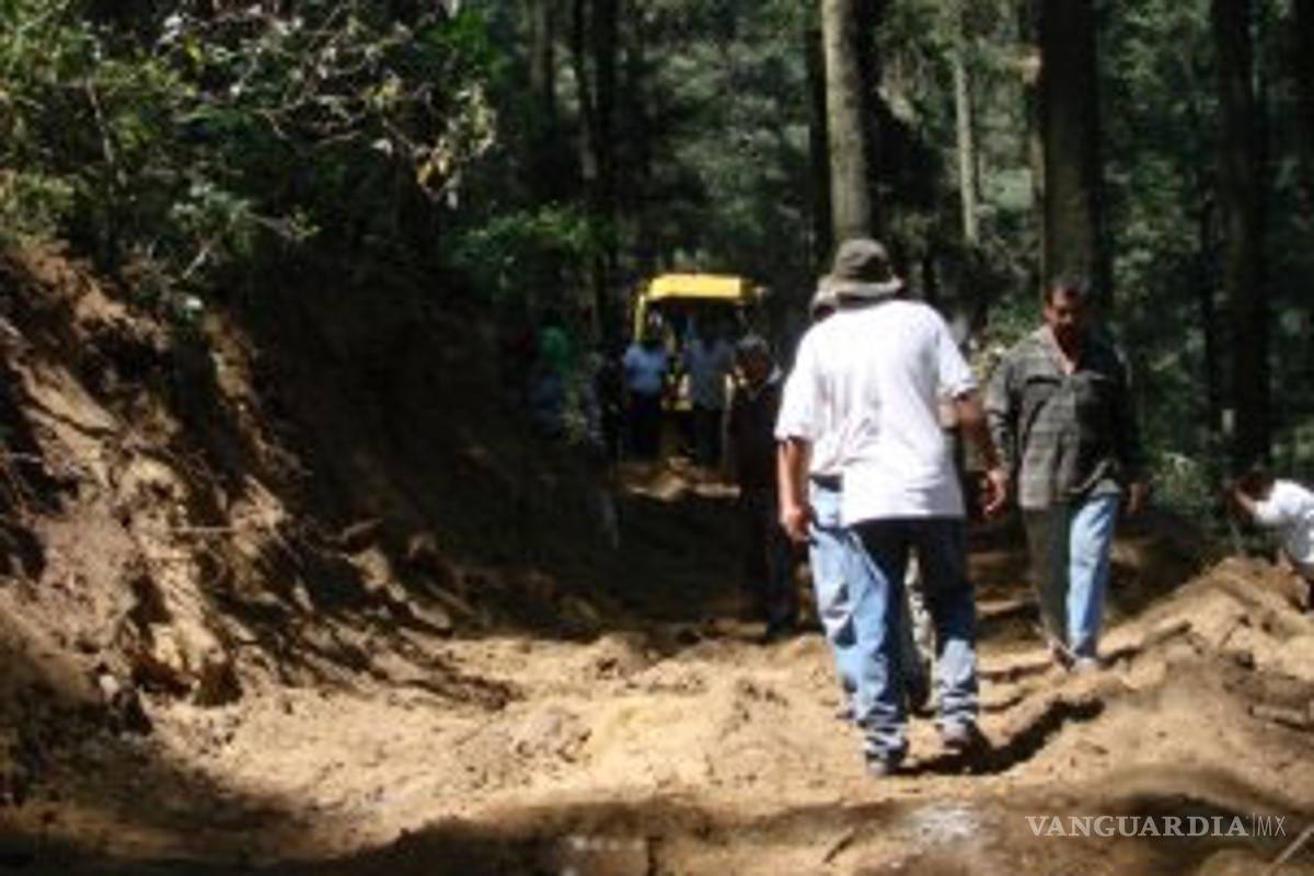 Denuncian ecocidio en bosques de Huixquilucan