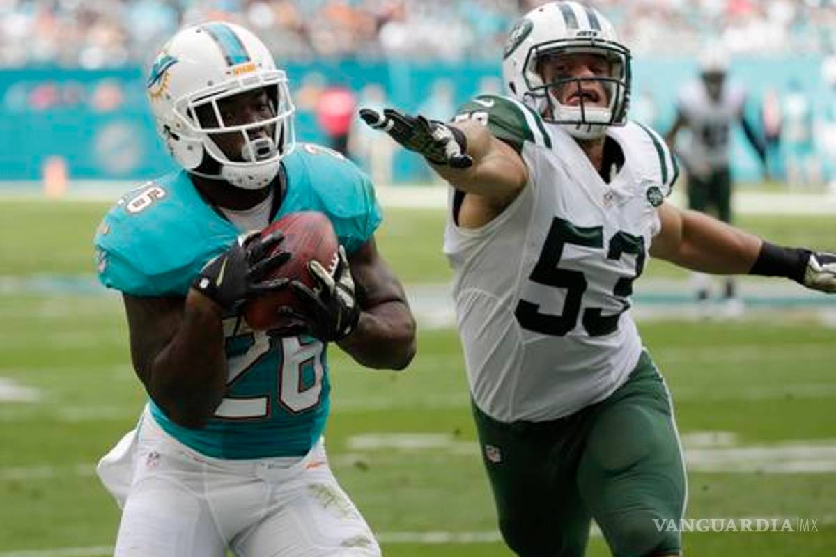 Dolphins están de regreso en la NFL