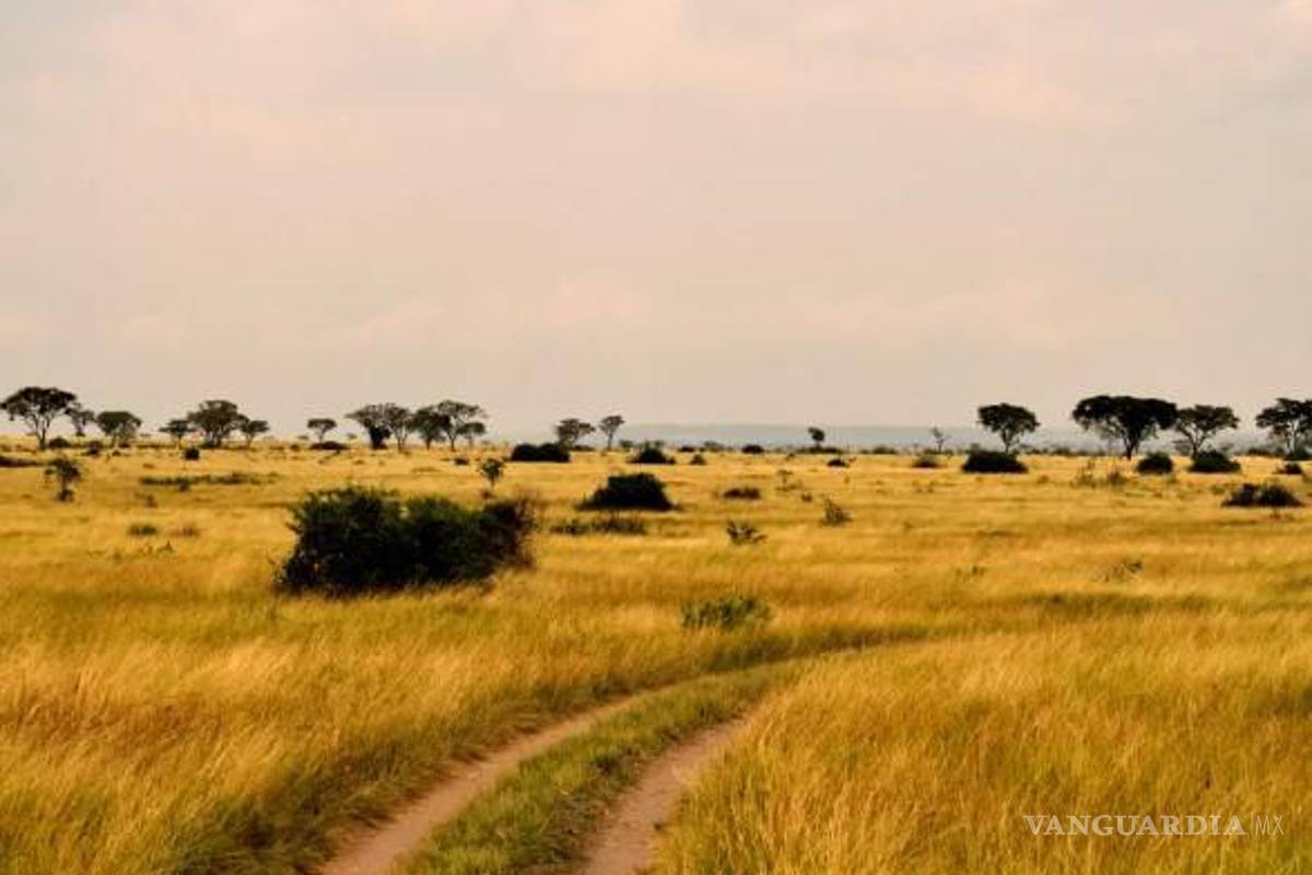 Terroristas vinculados a Isis matan a pareja en su luna de miel en Uganda