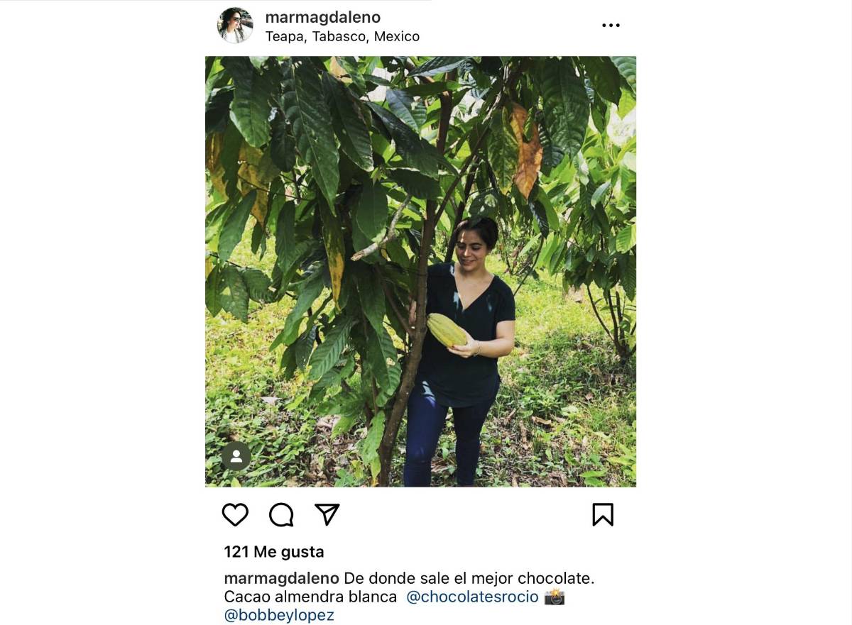 $!Hay más familiares y amigos de hijos de AMLO en el gobierno, incluso manejan licitaciones