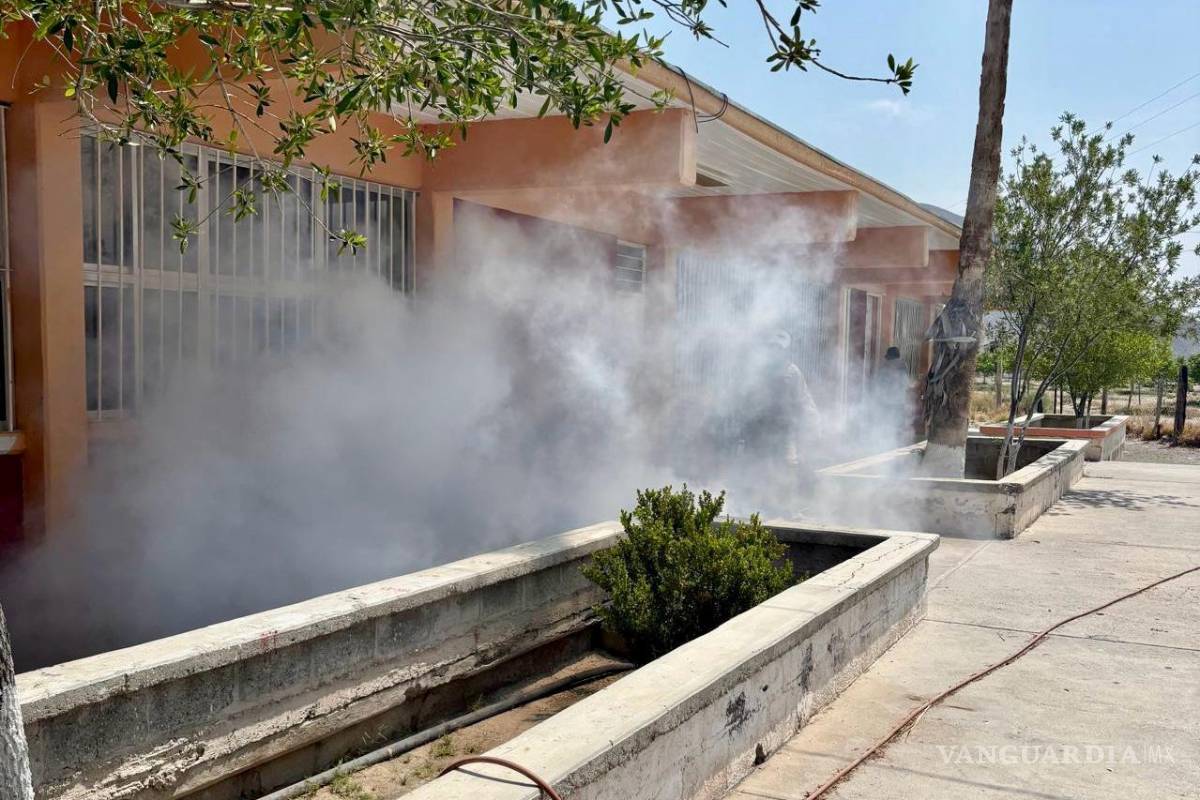 Detectan arañas violinistas y alacranes en escuelas de Piedras Negras