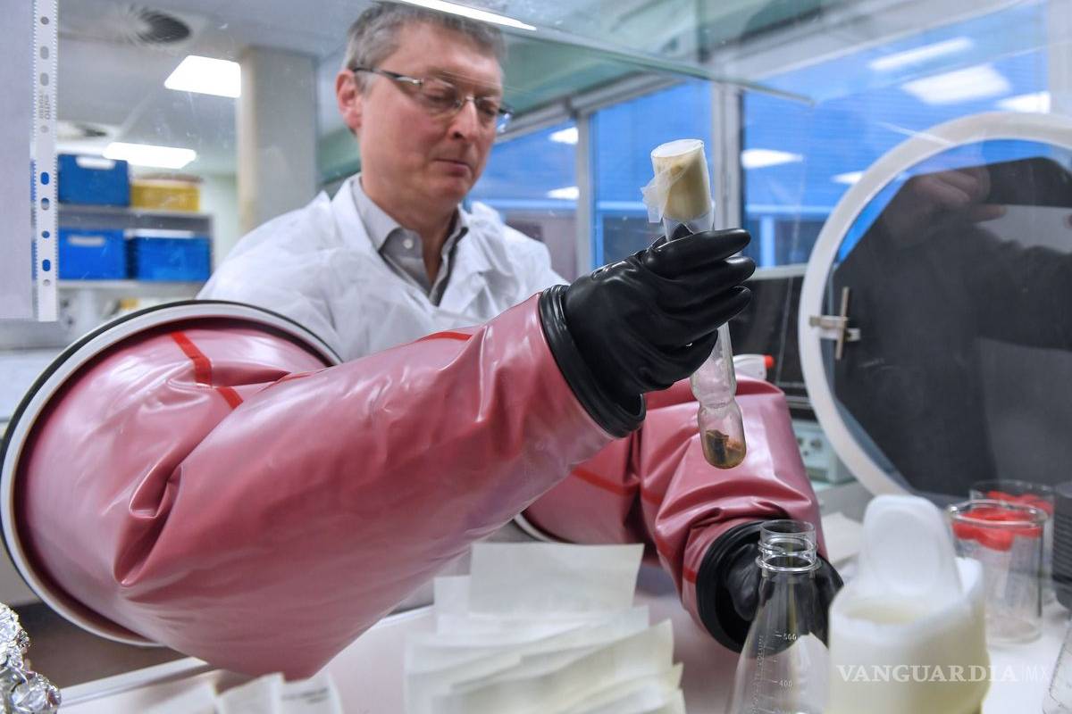 La vacuna BCG que se utiliza en México, ¿podría ser la cura para el coronavirus?