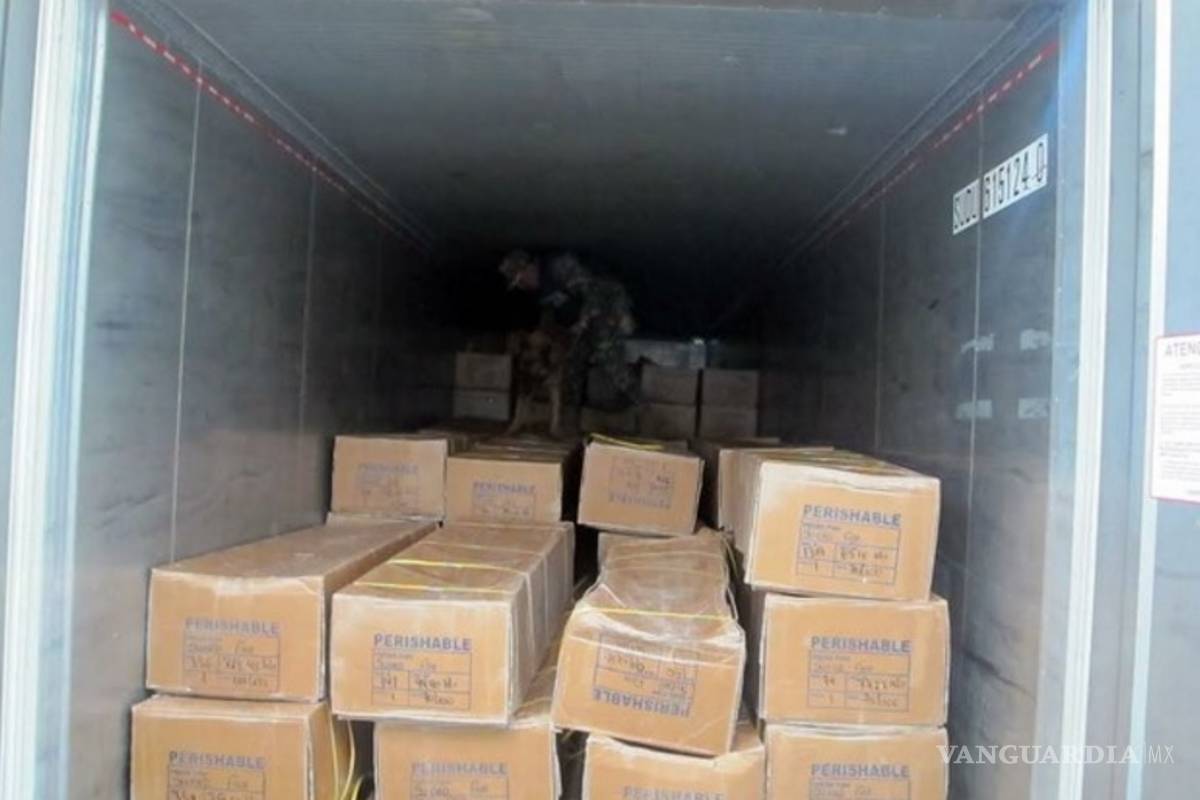 Decomisan 24 toneladas de peces contaminados con cocaína en Yucatán