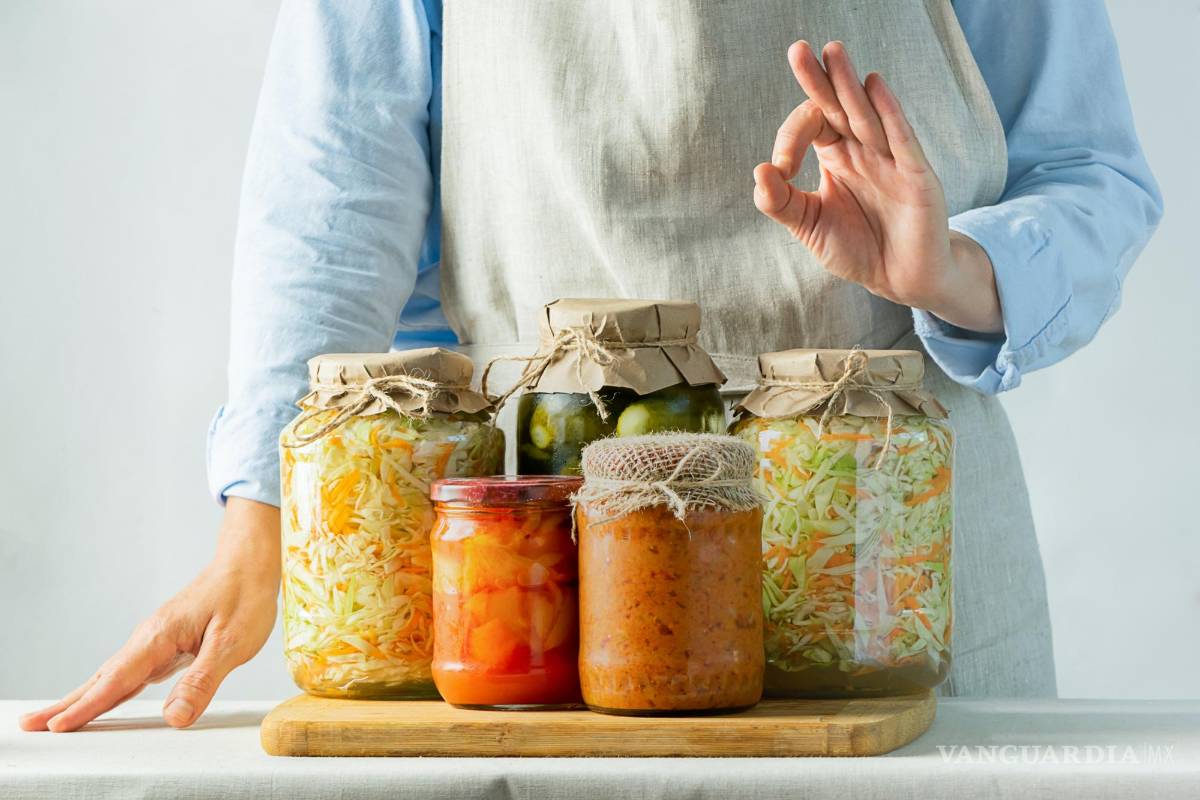 ¿Cuáles son los alimentos alternativos y cómo benefician o perjudican nuestra salud?