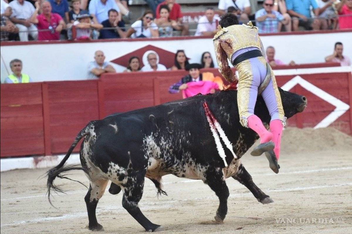Torero español sufre cornada en la zona genital