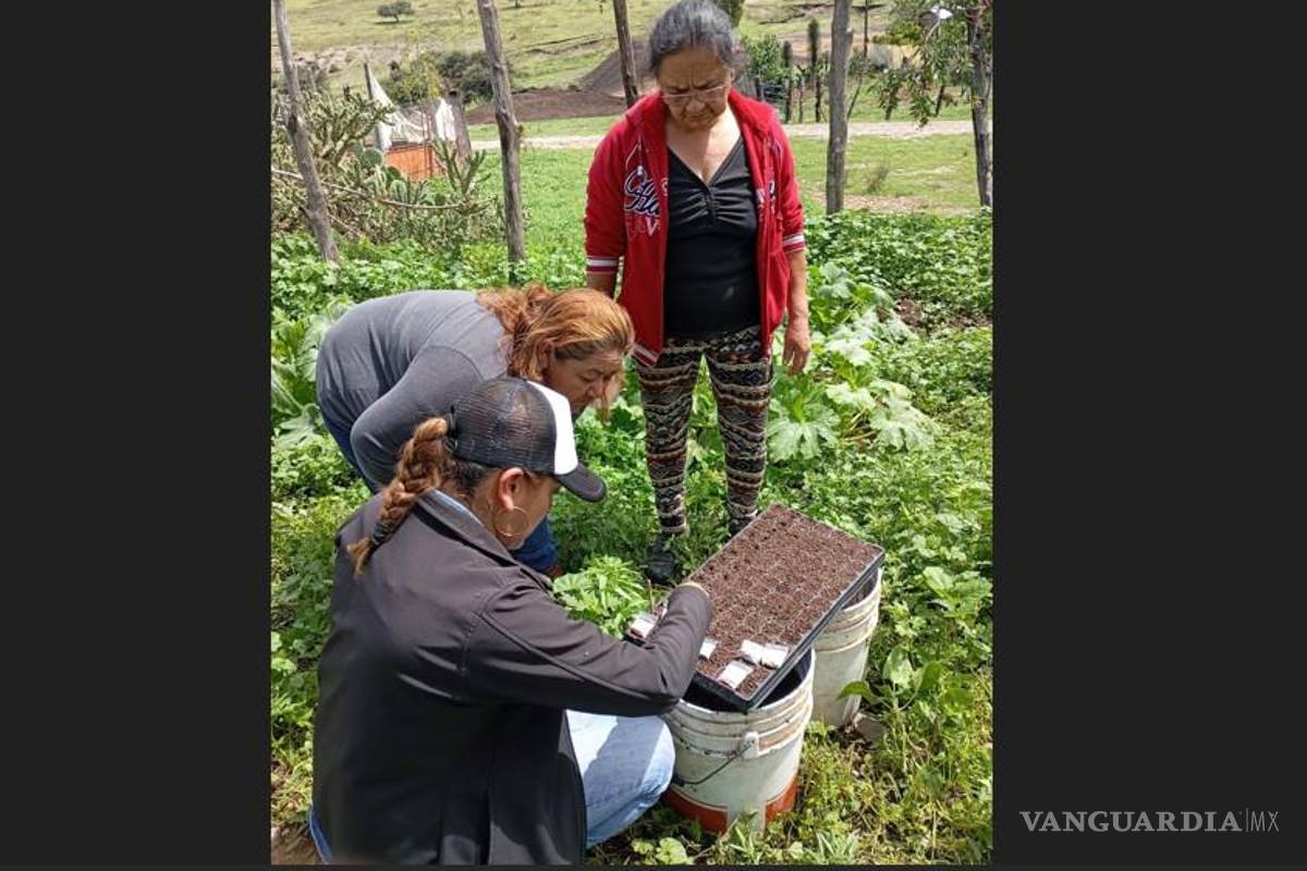 Programas municipales y lluvias revitalizan el campo saltillense
