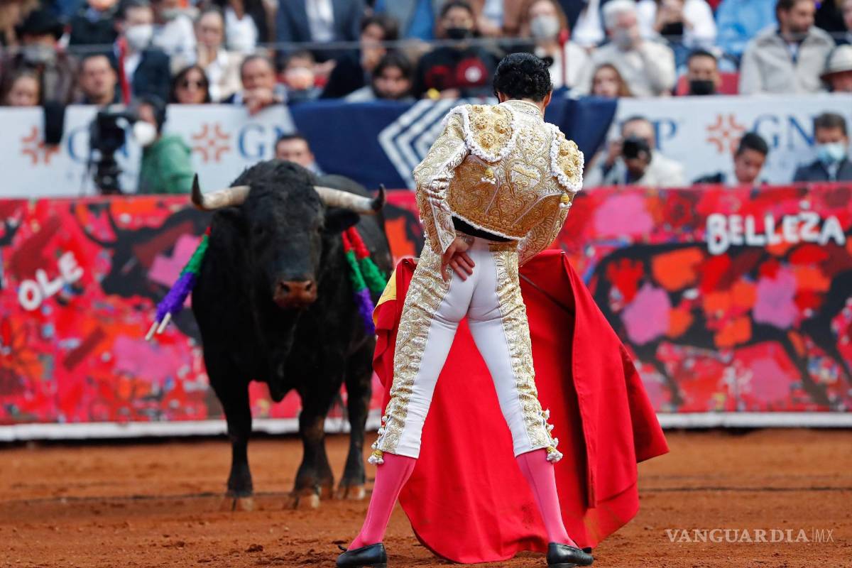 Corridas de toros: tradición, arte y sustento