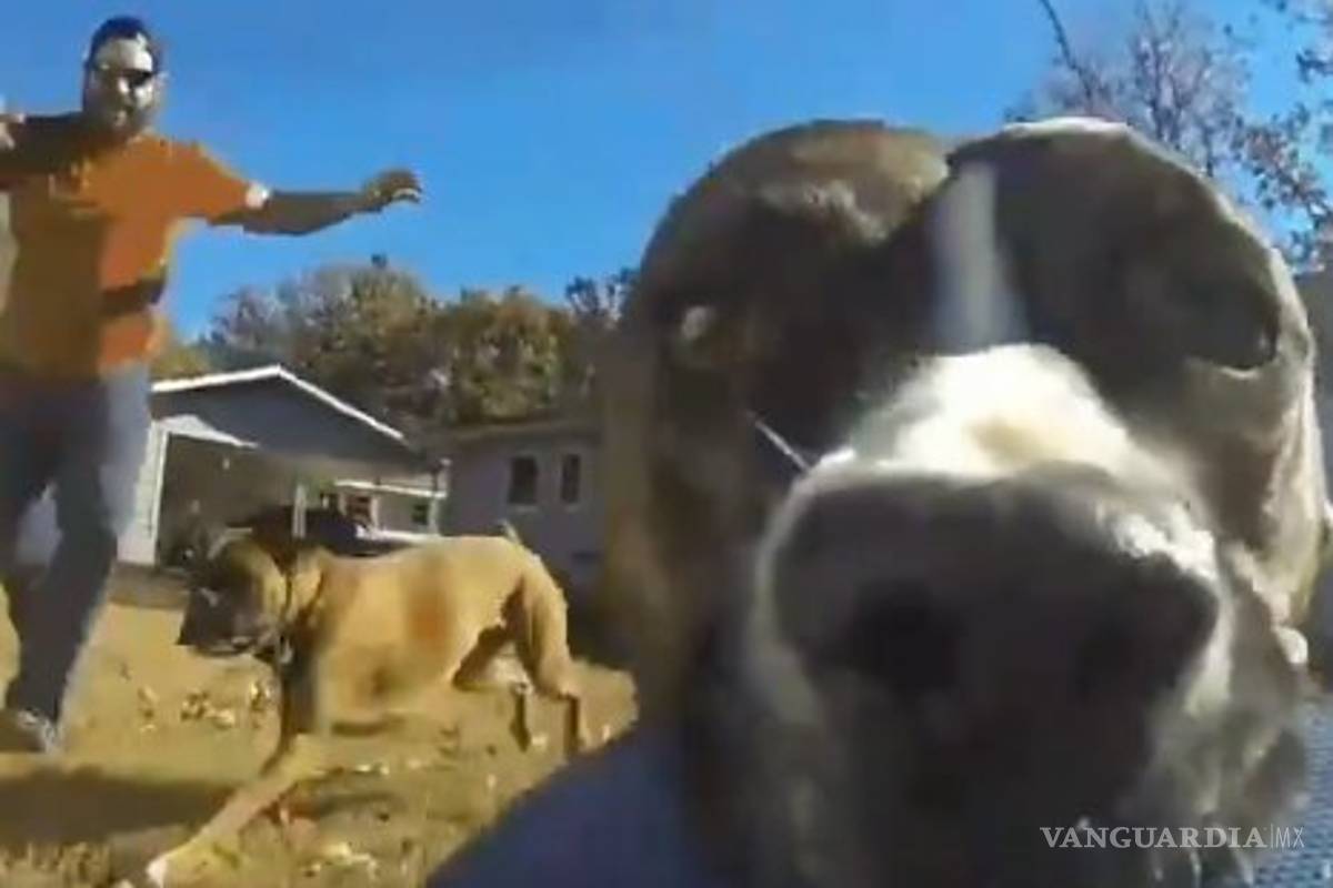 Perro roba cámara GoPro y se graba corriendo