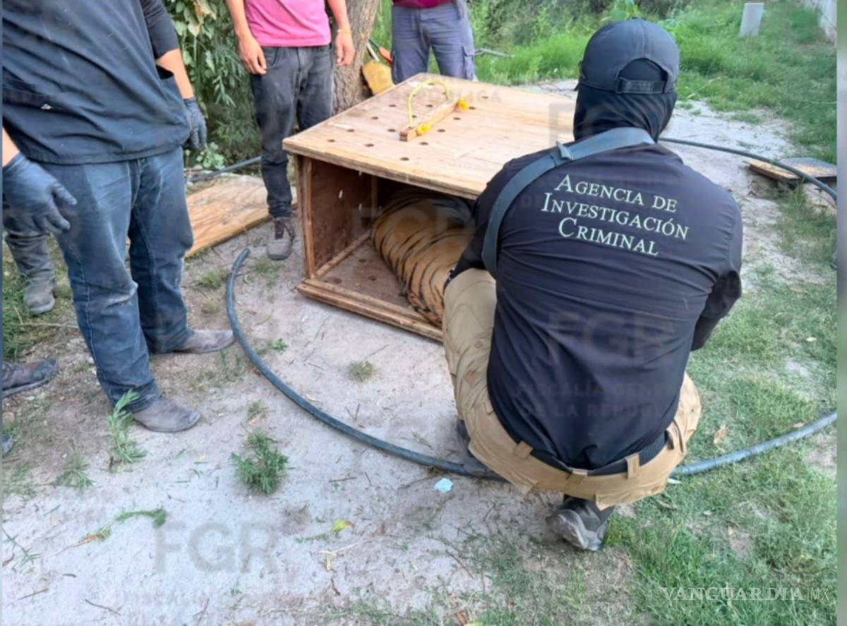 $!Los ejemplares asegurados quedaron bajo resguardo de instancias municipales para garantizar su cuidado y bienestar.