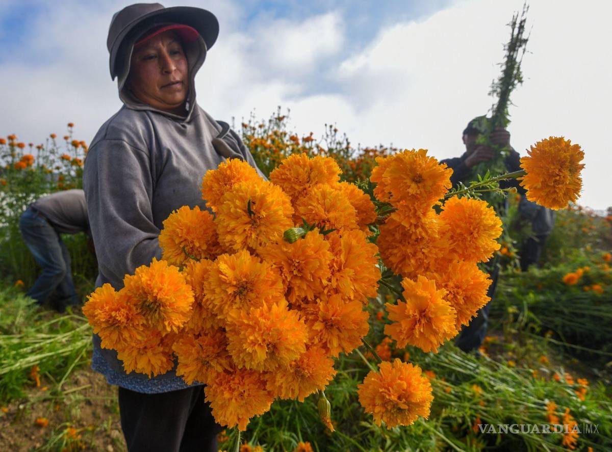 $!Todos los días subían a una colina para llevarle flores a Tonatiuh