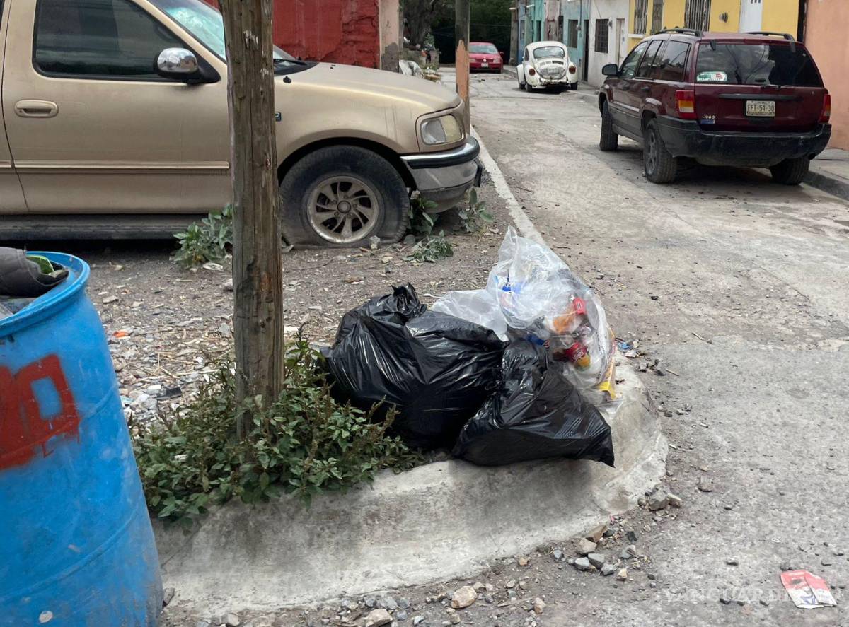 $!Según el testumonio de los vecinos, las bolsas de basura han durado incluso días enteros en vía pública sin que alguien se responsabilice.