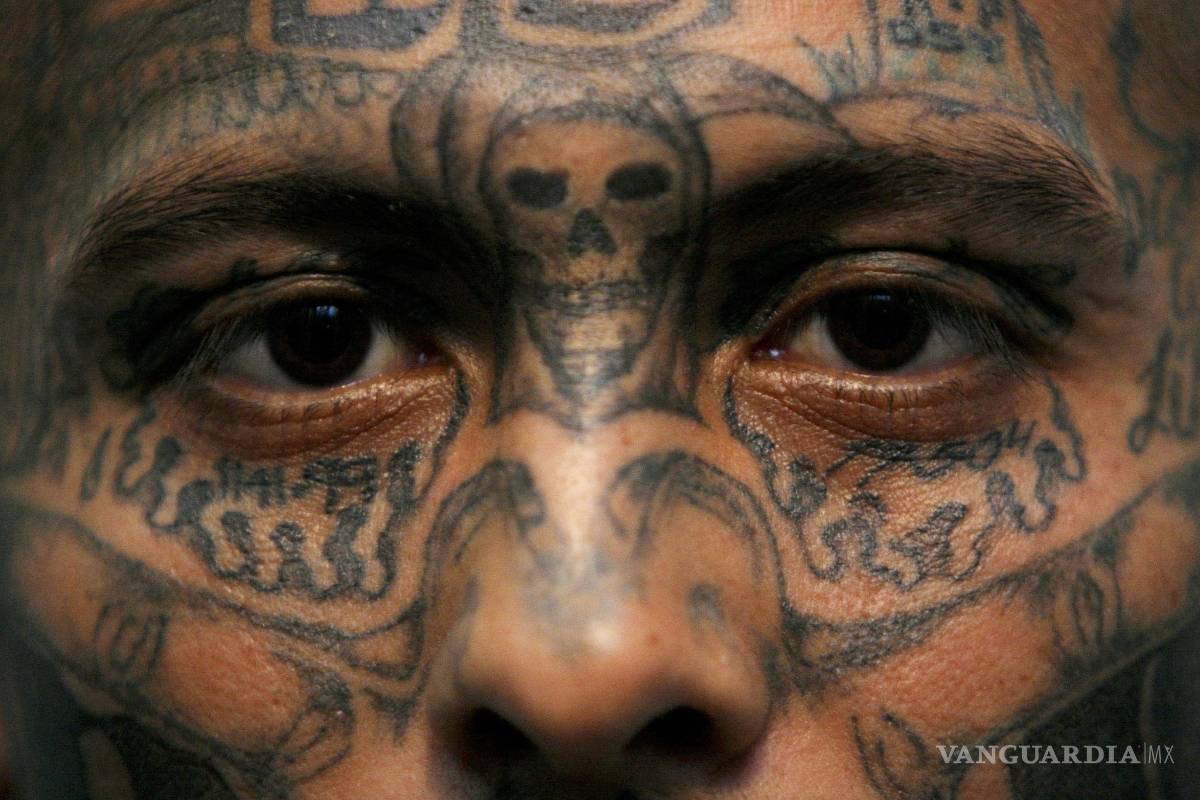 CISEN debe revelar documentos sobre Mara Salvatrucha: INAI