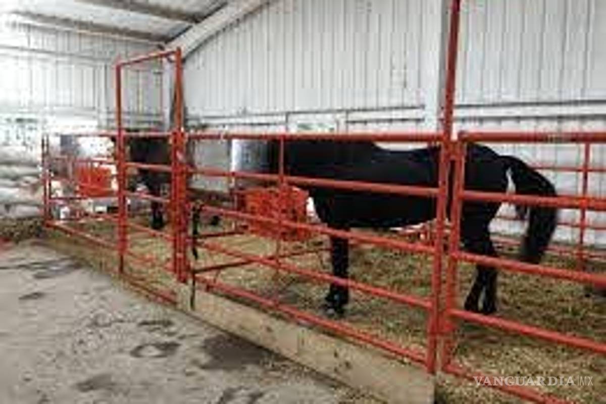 $!Rancho "El Aguatoche", el enlace de Roberto Sandoval con Coahuila