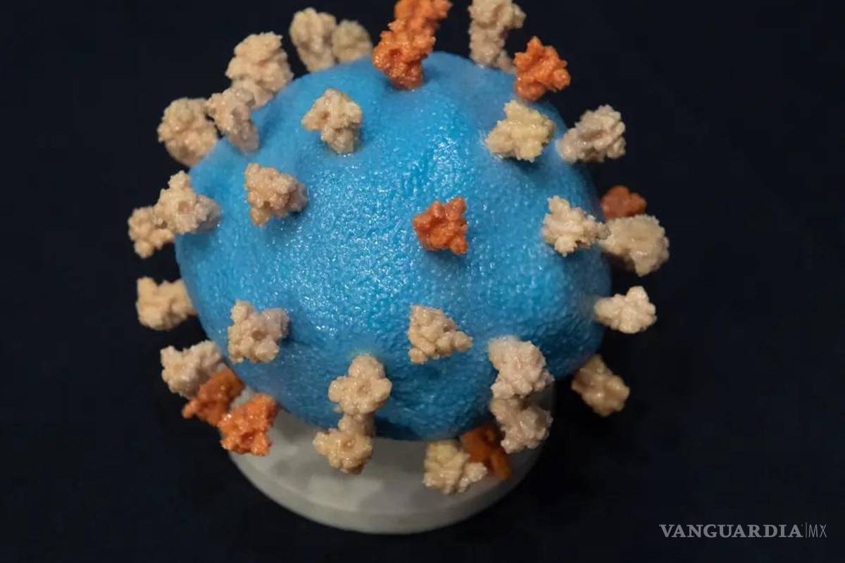 Ómicron tiene más ‘hermanas’, descubren dos nuevas variantes, falta determinar su impacto