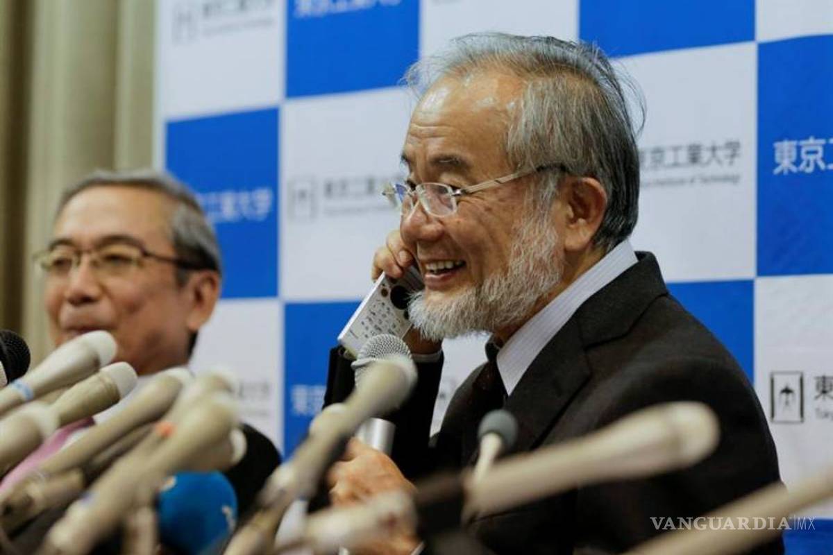 Ohsumi, un investigador revolucionario