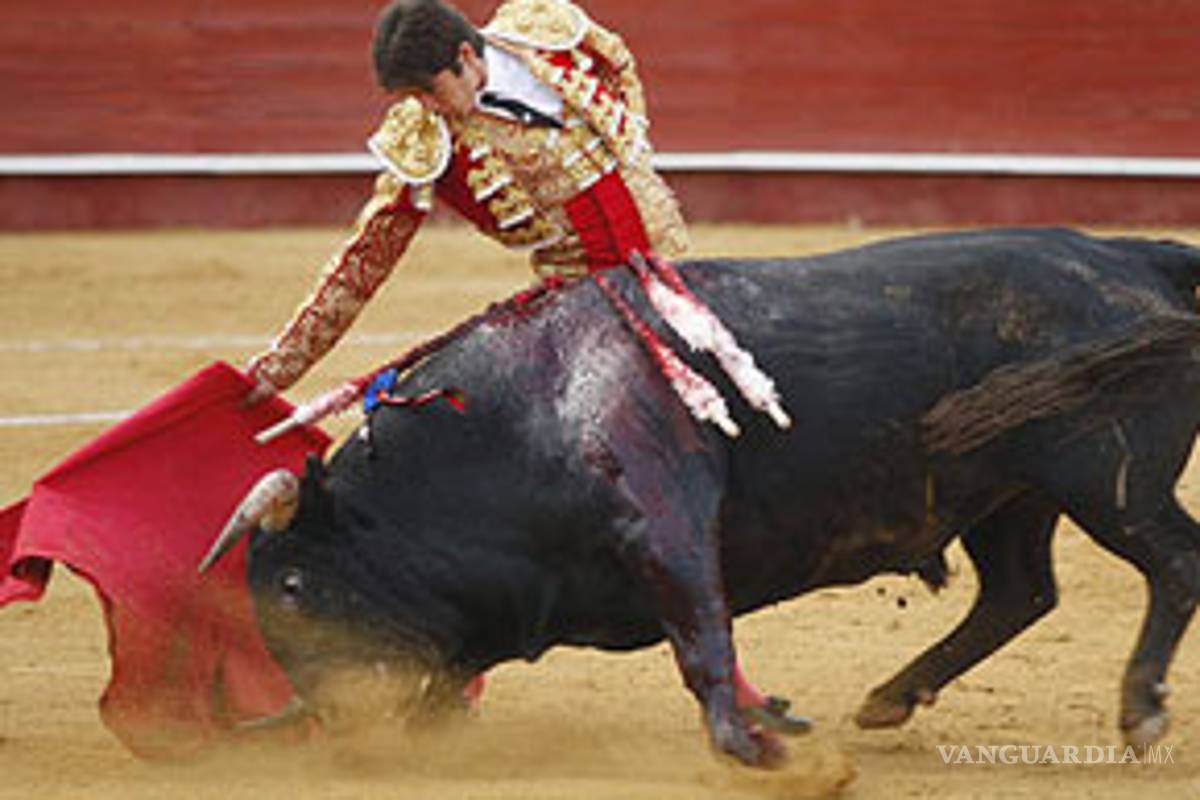 Podrían prohibir corridas de toros en Cataluña