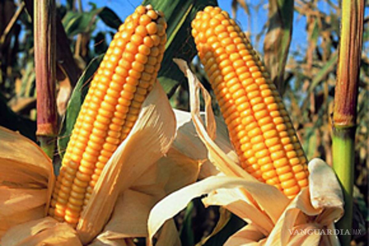 EU busca controlar alimentos en México: CNC