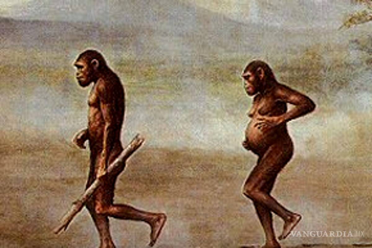 Descubren en Etiopía a Homo Kadanuumuu