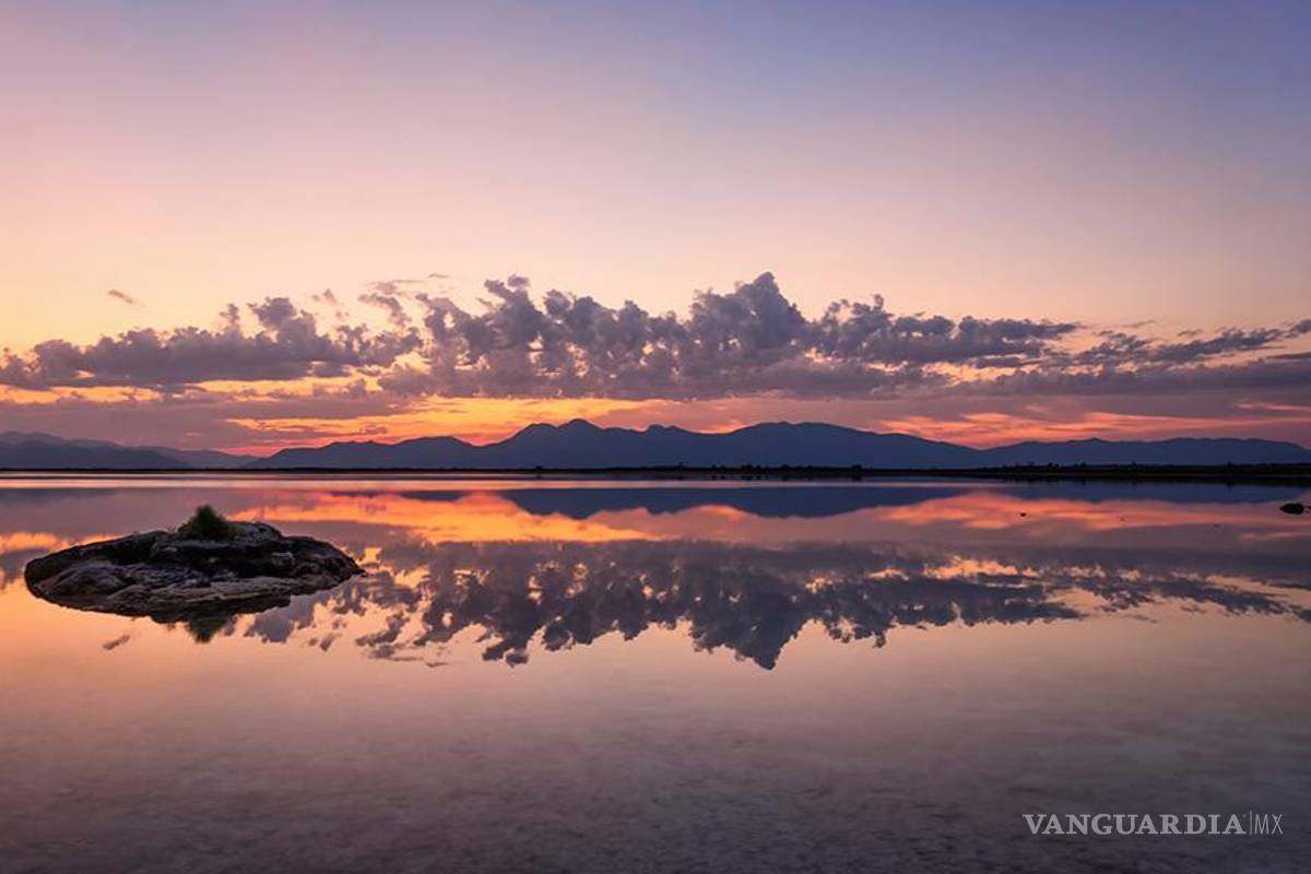 Comparte Daniel Bates la vitalidad del desierto en el MUDE