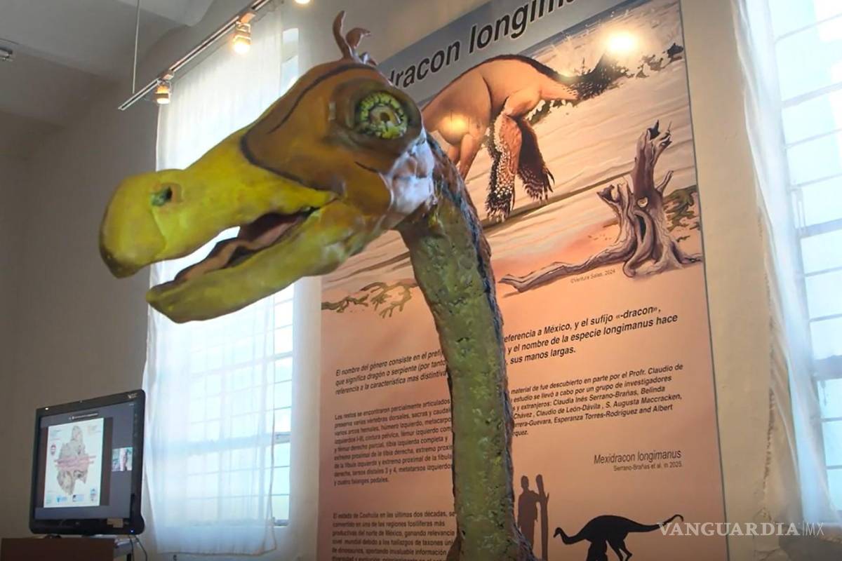 $!El Mexidracon Longimanus tenía cierta similitud con el avestruz.