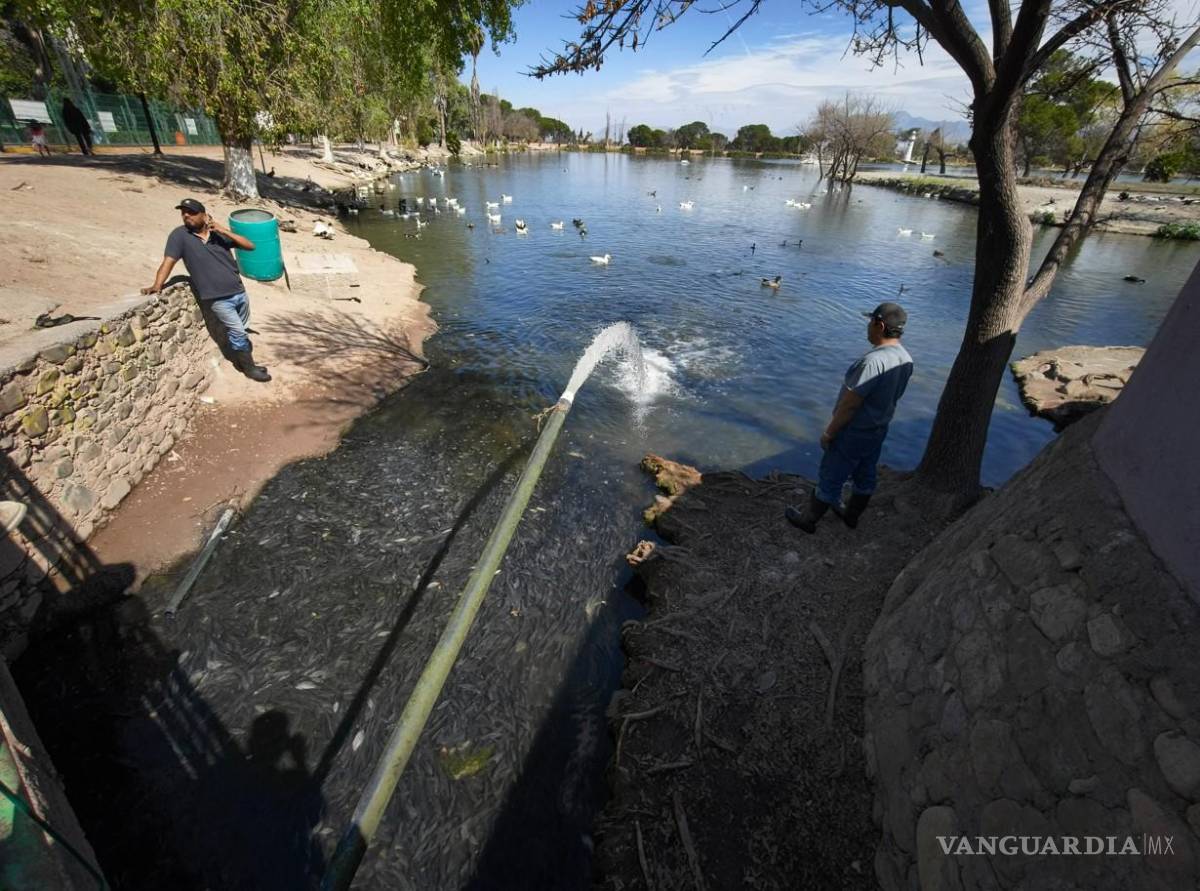 $!Entre las posibles causas se mencionan la falta de lluvias, la sobrepoblación y la presencia de especies invasoras