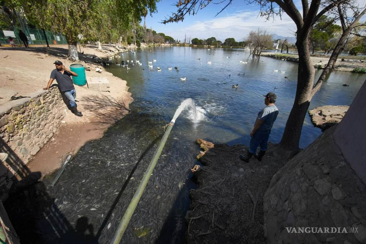 $!Entre las posibles causas se mencionan la falta de lluvias, la sobrepoblación y la presencia de especies invasoras
