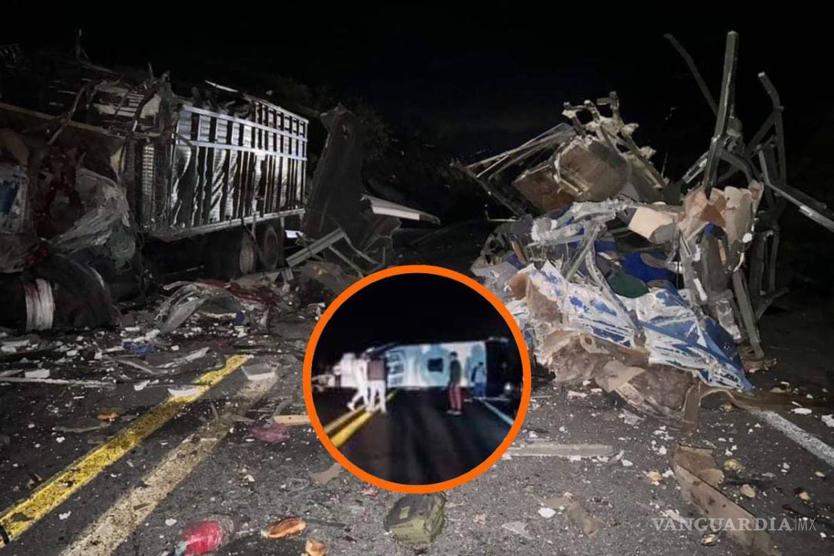 Tragedia en carretera Tehuacán-Oaxaca: autobús que trasladaba migrantes choca contra tráiler; hay 15 muertos