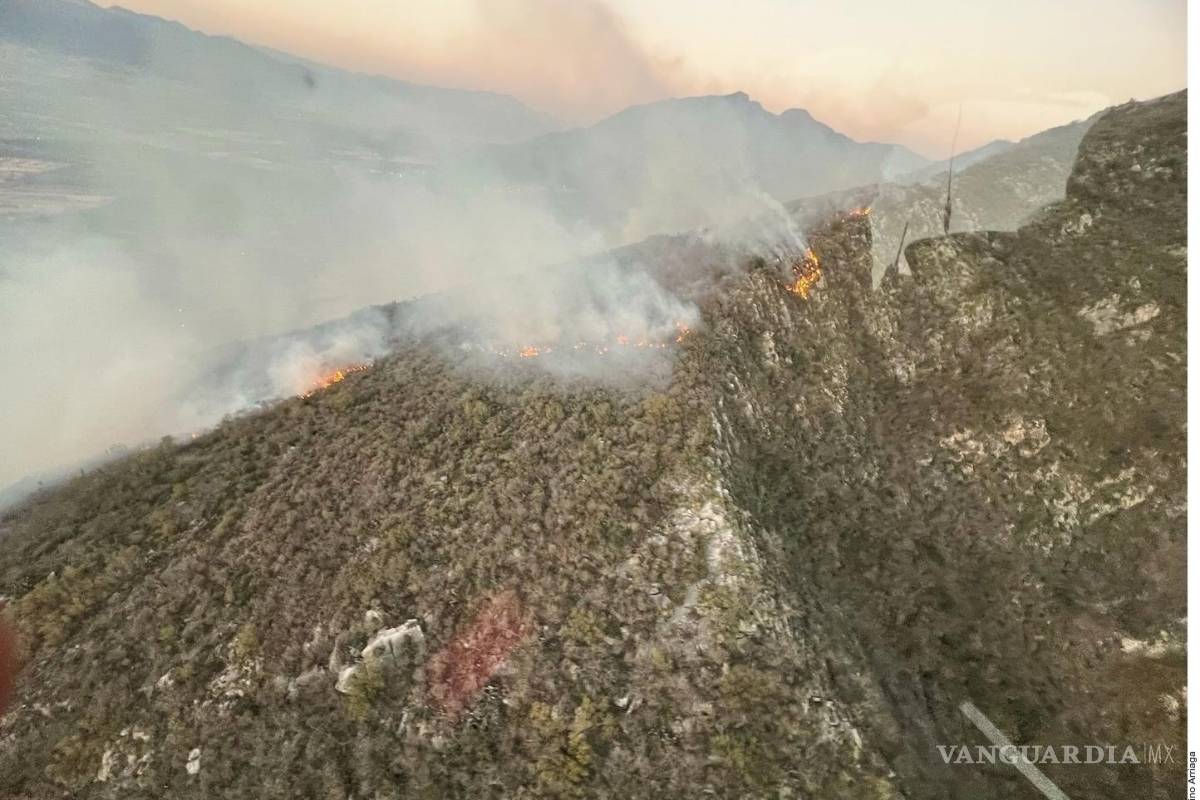 Cuadriplican daño incendios forestales en primer bimestre de 2025