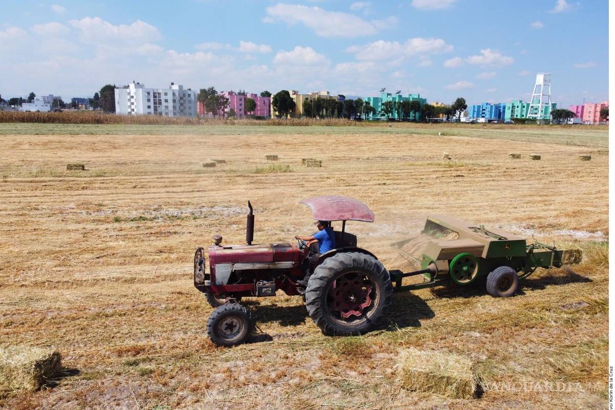 Preocupa a productores agrícolas de Sinaloa la falta de trabajadores por violencia del crimen organizado