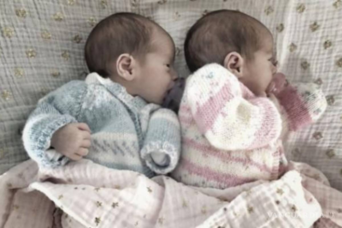 Ludwika Paleta presenta a sus gemelos en twitter