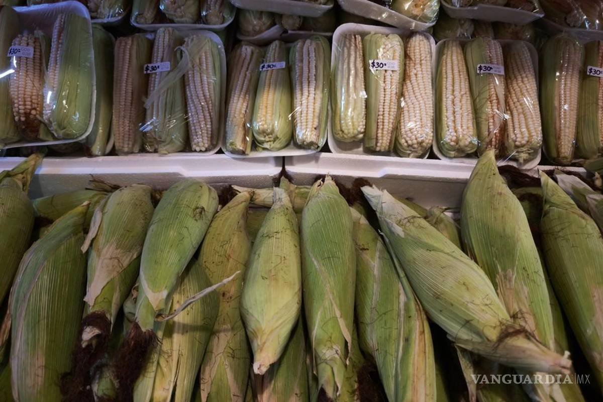 Prevén bajo impacto en Coahuila por paro nacional de maiceros