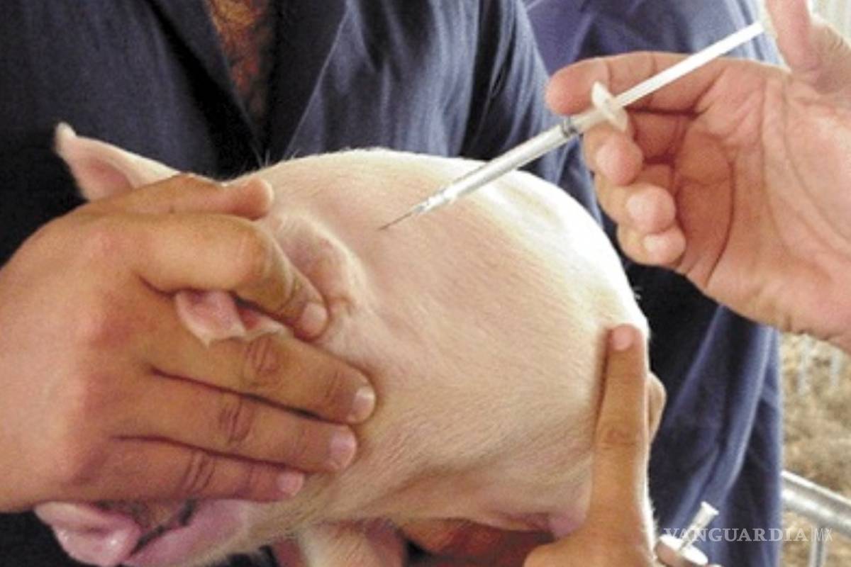 México, a punto de eliminar la cisticercosis de su territorio