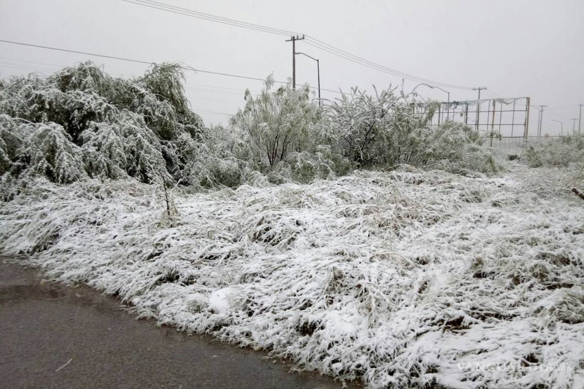 $!Cubre aguanieve en Piedras Negras; piden extremar precauciones