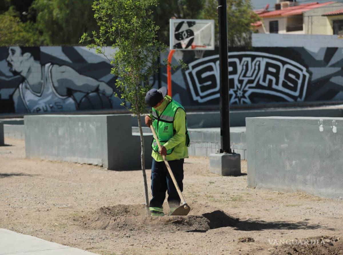 $!Amplía Saltillo acciones de mantenimiento urbano en colonias y bulevares