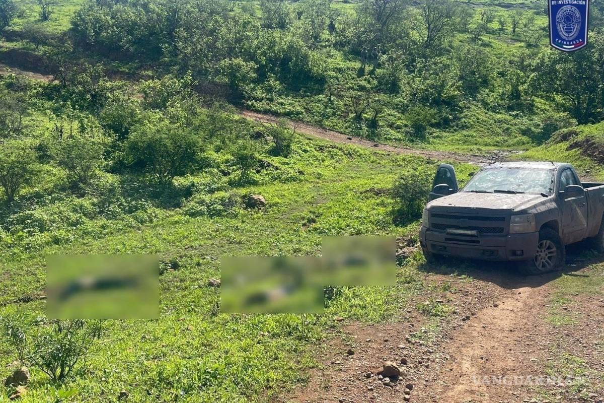 Encuentran a tres jóvenes decapitados, en Chihuahua