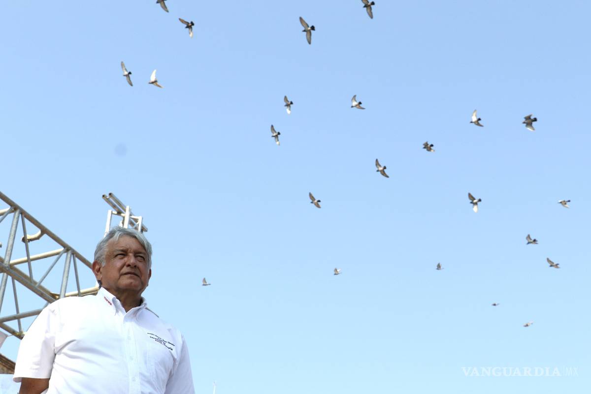 Conoce el organigrama de los equipos de campaña de López Obrador y de José Antonio Meade