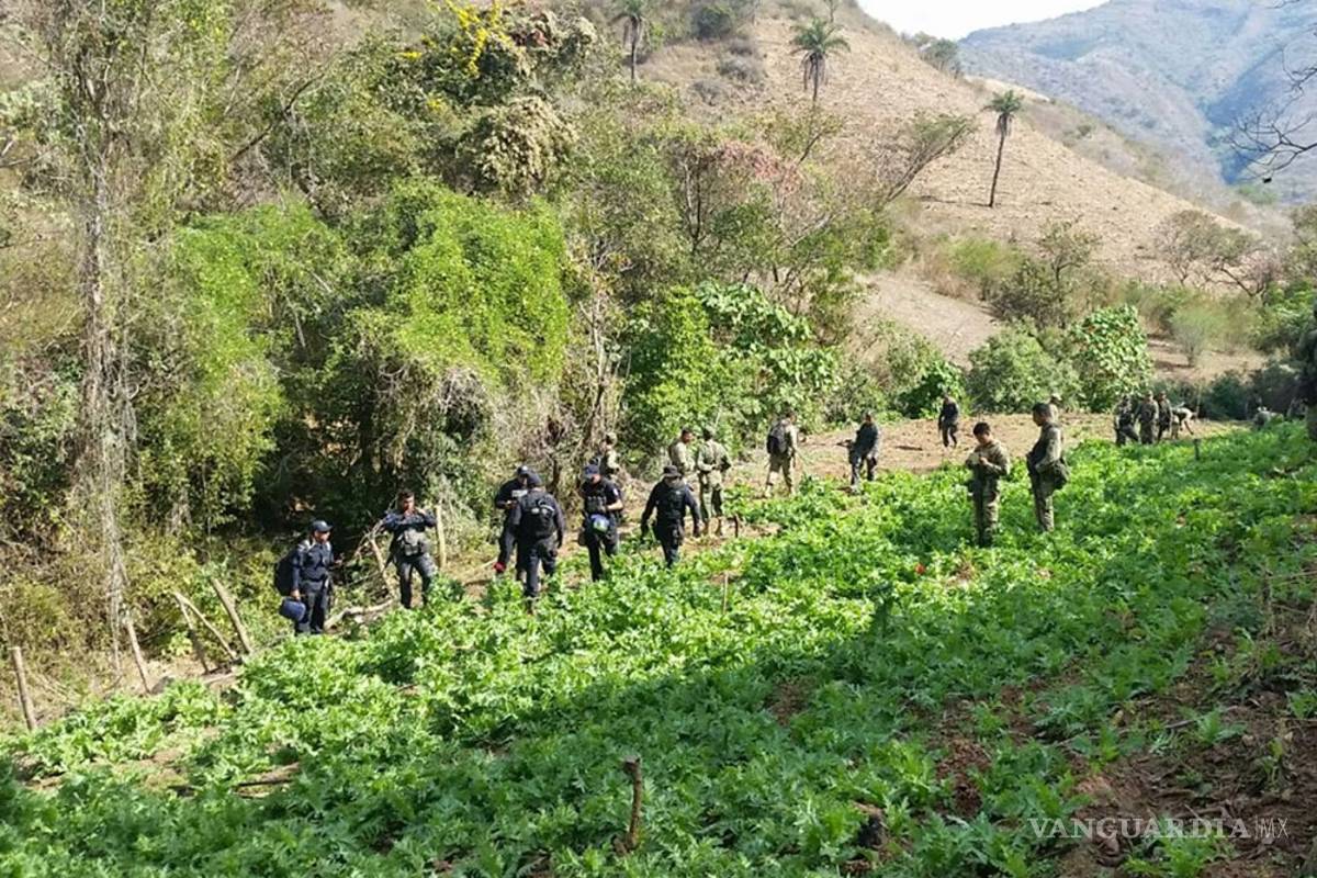 PF y Ejército buscan a 17 desaparecidos en Arcelia, Guerrero