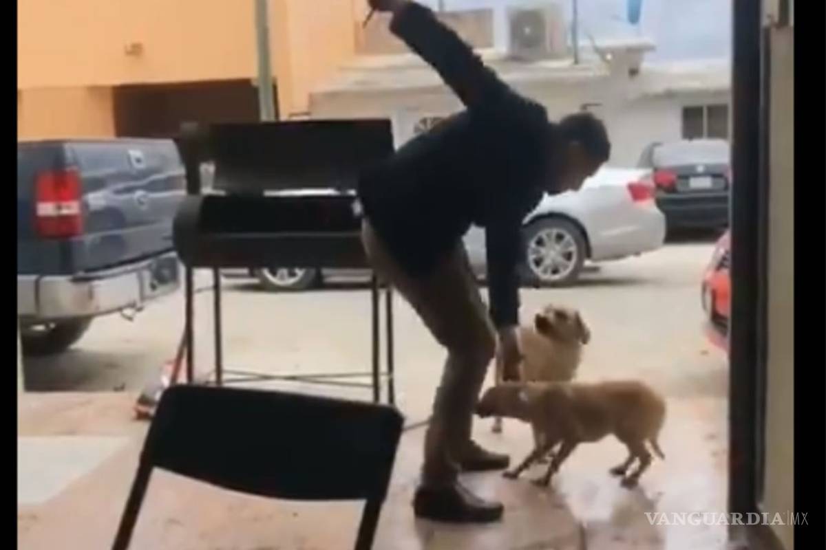 Identifican al presunto agresor que apuñaló a perro en Piedras Negras, Coahuila