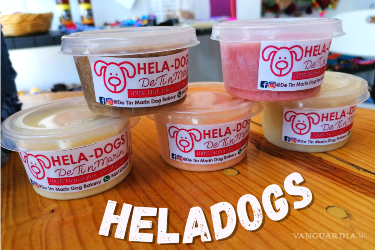 ‘No se trata de humanizar a los perros, sino de tratarlos dignamente’: primera pastelería canina en Saltillo