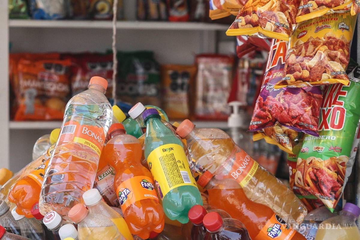 ONG presenta plataforma para monitorear alimentos en escuelas