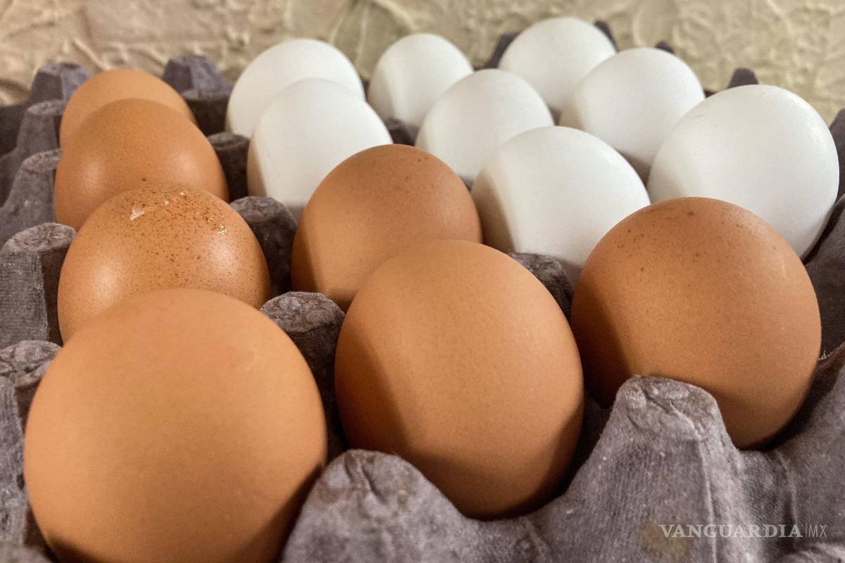 Sigue huevo ‘por las nubes’... y prevén un mayor incremento
