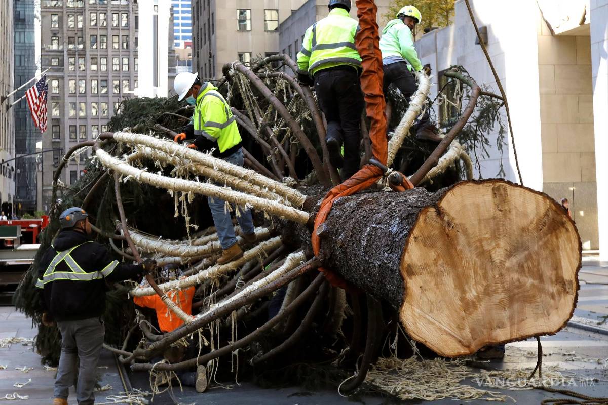 ¡Ya es Navidad! Llega a Nueva York árbol de Rockefeller Center