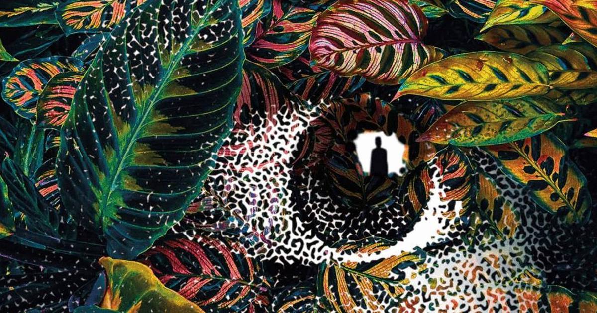 Pilar Quintana explora la naturaleza animal de los humanos en la novela ‘Noche negra’