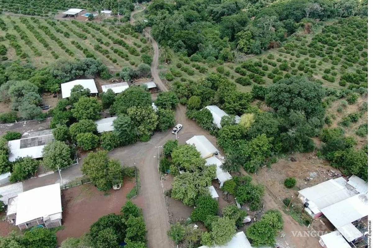 Cinco cárteles pelean por el control de la región de limoneros en Michoacán