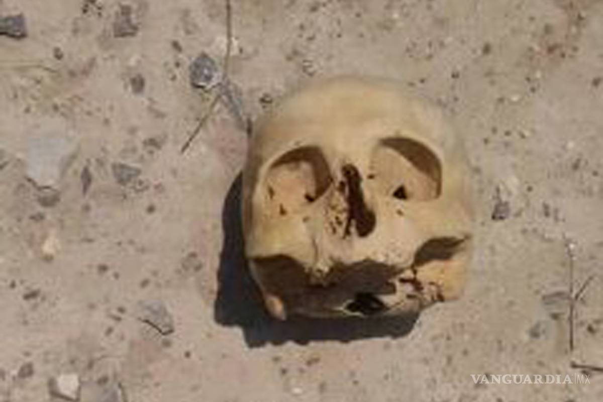 No parar búsquedas de desparecidos con cambio de gobierno, pide Grupo Vida