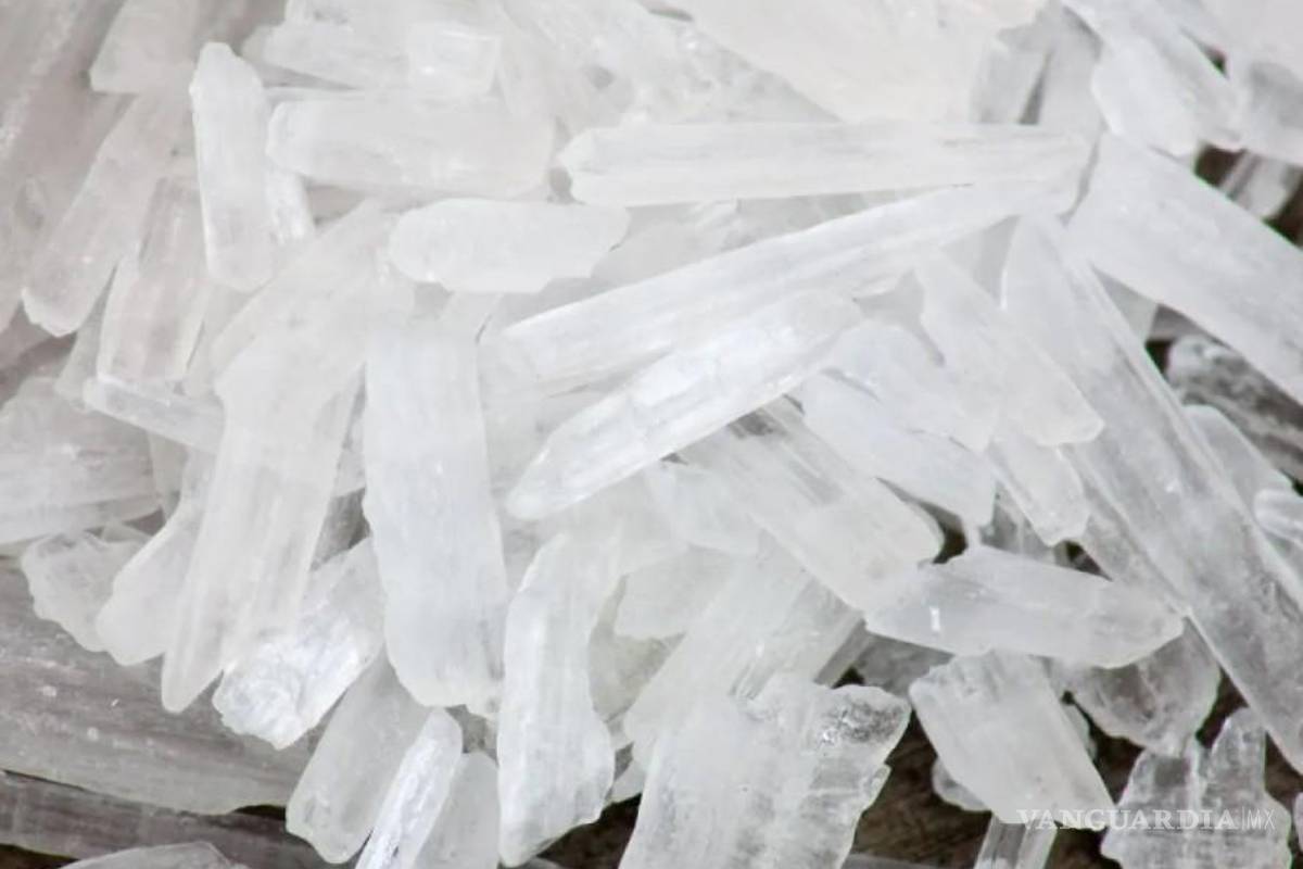 Fortalecen combate contra las drogas... anuncia Sheinbaum campaña contra metanfetaminas