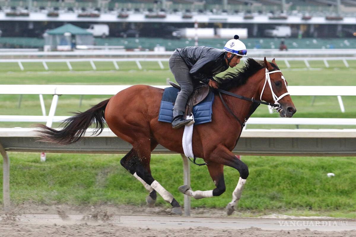 Maximum Security competirá por primera vez desde que fue descalificado del Derby de Kentucky