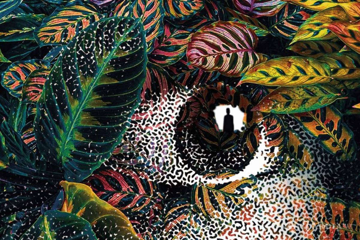 Pilar Quintana explora la naturaleza animal de los humanos en la novela ‘Noche negra’