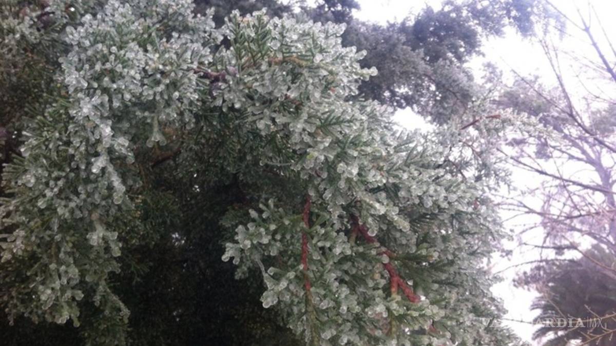 Pronostican aguanieve para Saltillo